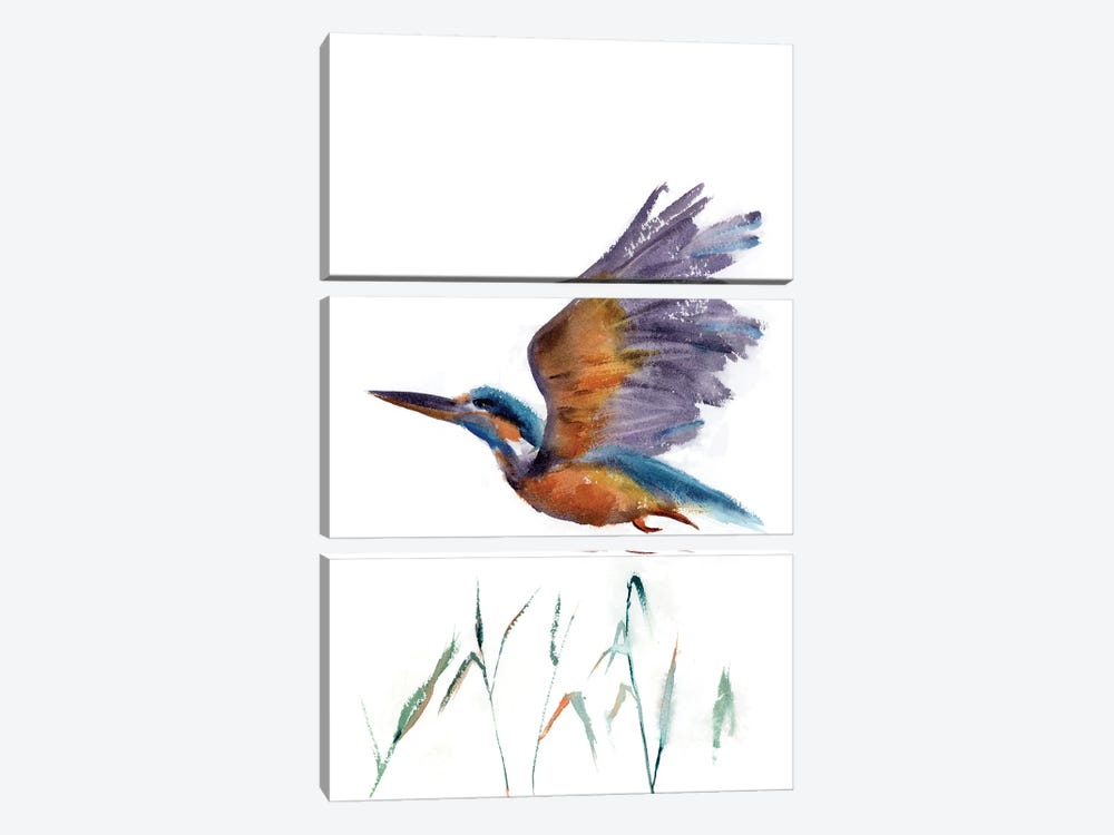 Flying Kingfisher by Olga Tchefranov 3-piece Canvas Print