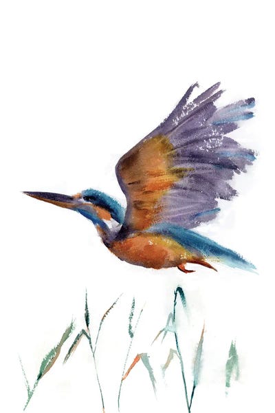 Kingfishers: Flying Kingfisher by Olga Tchefranov