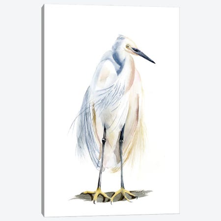White Heron Canvas Print #OTF64} by Olga Tchefranov Canvas Print
