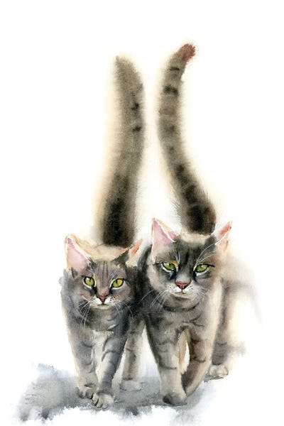 Tabbies: Tabby Cats by Olga Tchefranov