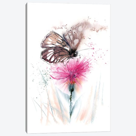 Butterfly And Thistle Canvas Print #OTF67} by Olga Tchefranov Canvas Art Print