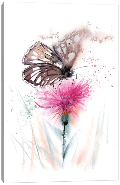 Butterfly And Thistle Canvas Art Print - Olga Tchefranov