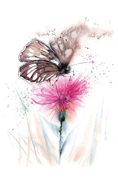 Butterflies and Flowers: Butterfly And Thistle by Olga Tchefranov