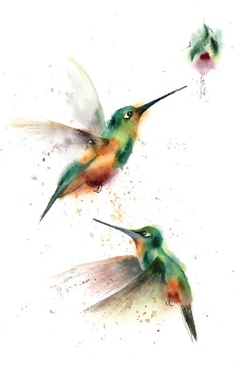 Two Flying Hummingbirds