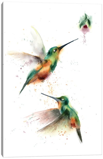 Two Flying Hummingbirds Canvas Art Print - Hummingbird Art