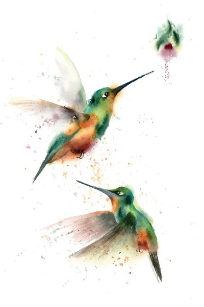 Hummingbirds: Two Flying Hummingbirds by Olga Tchefranov