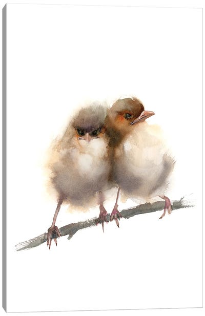 Two Fairy Wrens Canvas Art Print - Olga Tchefranov