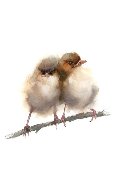 Love Birds: Two Fairy Wrens by Olga Tchefranov