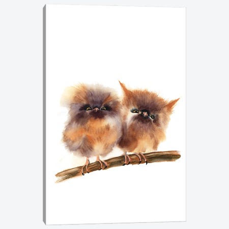 Baby Owls Canvas Print #OTF70} by Olga Tchefranov Canvas Print