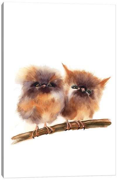 Baby Owls Canvas Art Print - Owl Art