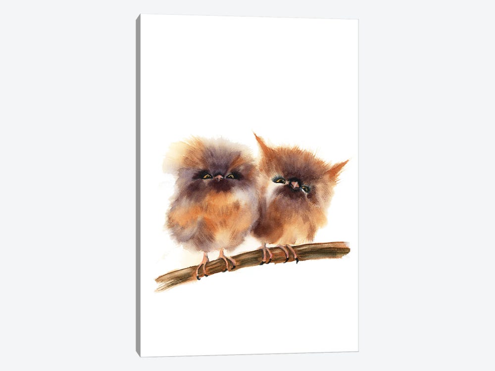 Baby Owls by Olga Tchefranov 1-piece Canvas Print