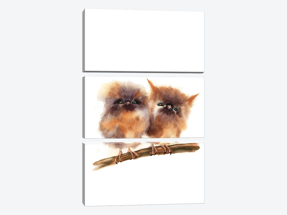 Baby Owls by Olga Tchefranov 3-piece Canvas Art Print