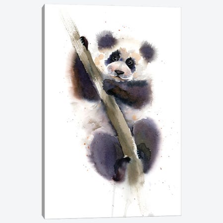 Panda Canvas Print #OTF71} by Olga Tchefranov Canvas Print