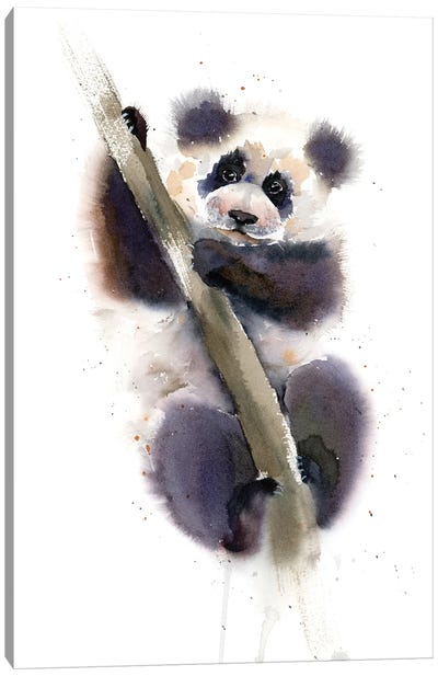 Panda Canvas Art Print - Bear Art