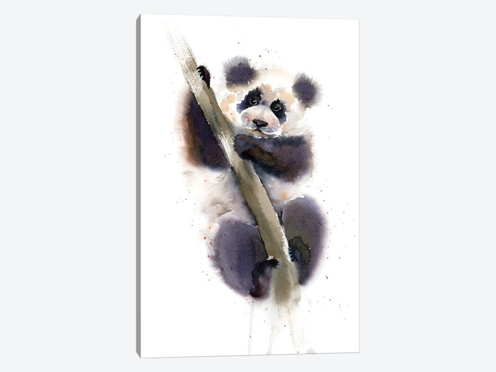 Panda by Olga Tchefranov 1-piece Canvas Wall Art