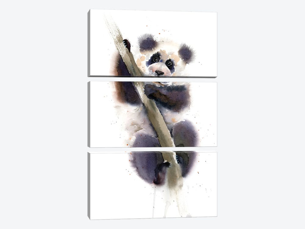 Panda by Olga Tchefranov 3-piece Canvas Wall Art