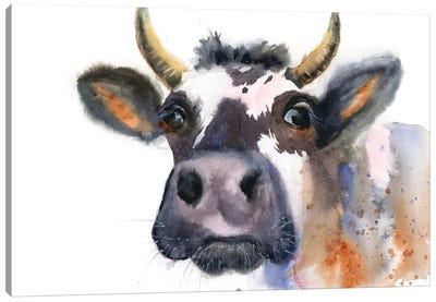 Cow Canvas Art Print - Olga Tchefranov