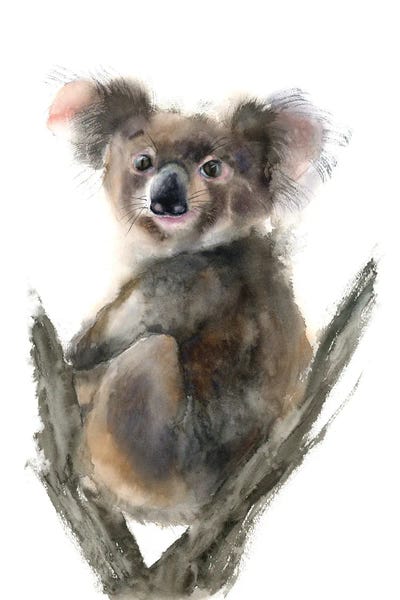 Koala by Olga Tchefranov canvas print
