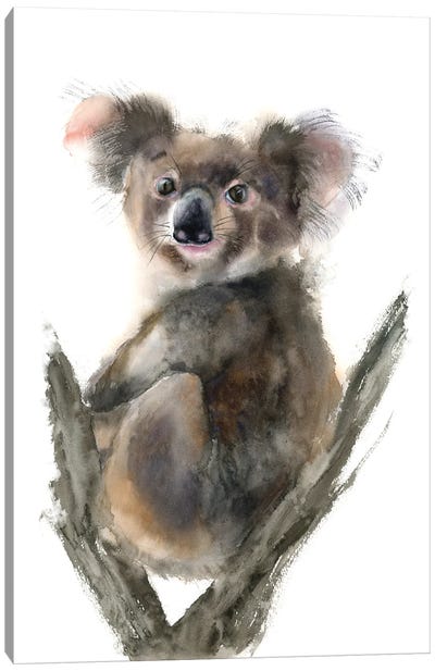 Koala Canvas Art Print - Olga Tchefranov