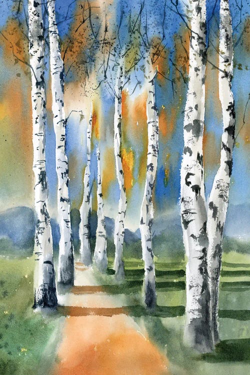 Birch Trees I