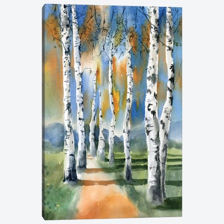 Birch Trees I Canvas Print #OTF7} by Olga Tchefranov Canvas Artwork