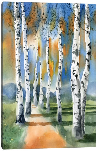Birch Trees I Canvas Art Print - Olga Tchefranov