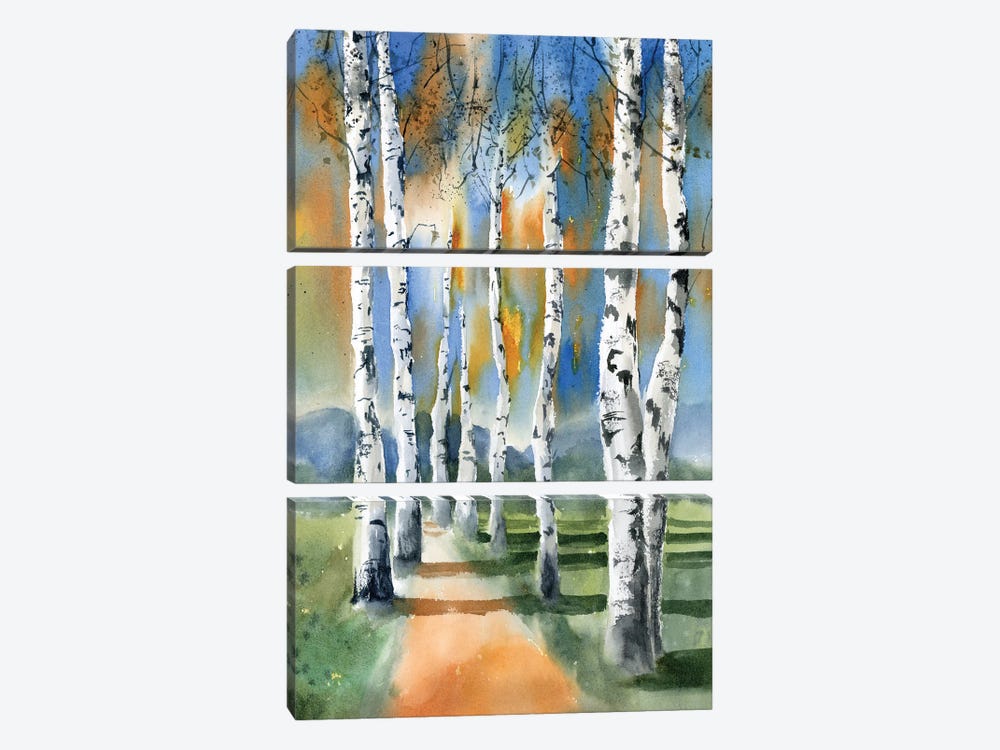 Birch Trees I by Olga Tchefranov 3-piece Canvas Print