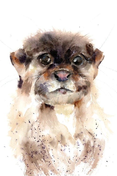 Otter by Olga Tchefranov wall art