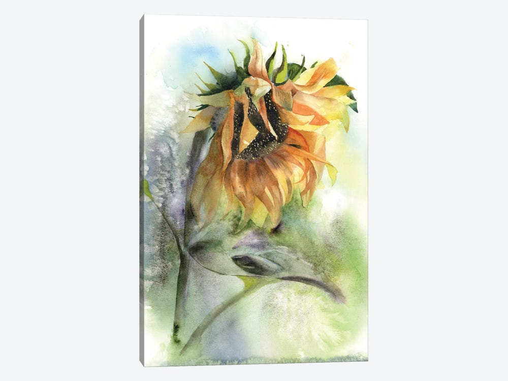 Sunflower by Olga Tchefranov 1-piece Canvas Wall Art