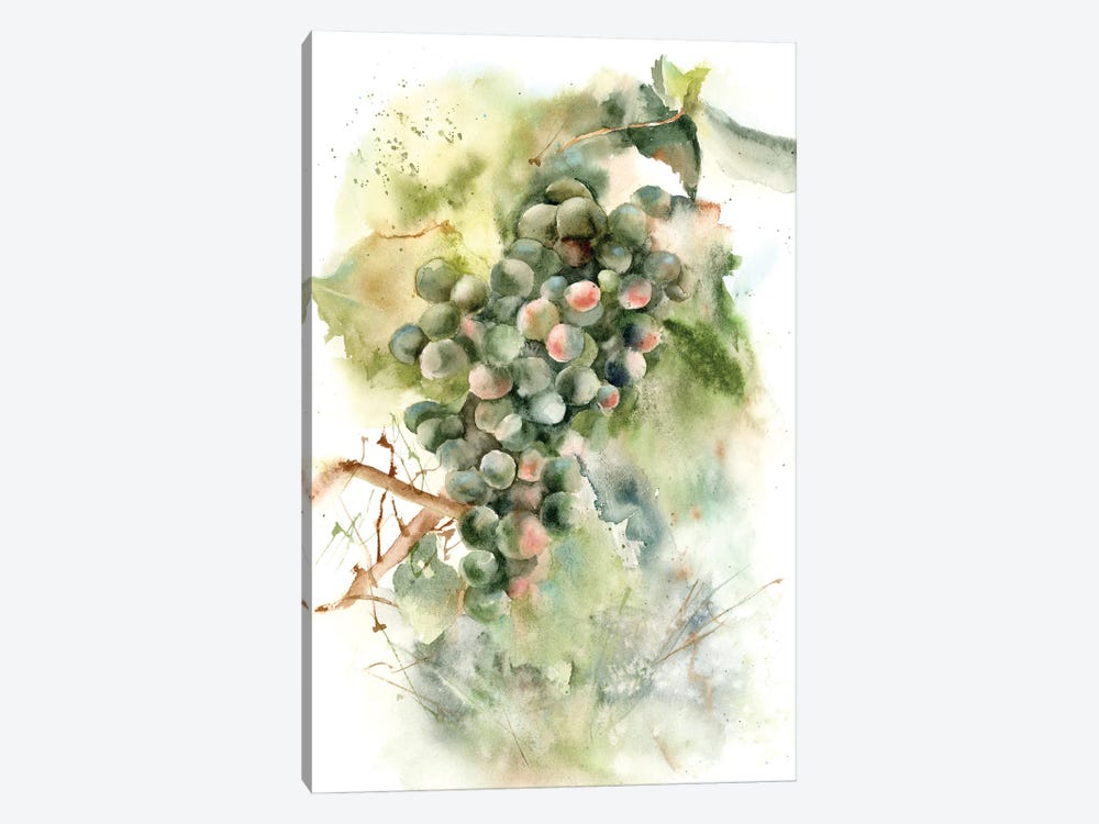 Grape by Olga Tchefranov 1-piece Canvas Print