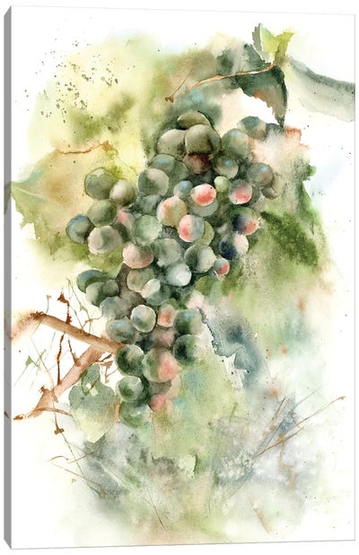 Grape Canvas Art Print - Olga Tchefranov