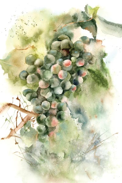 Grapes: Grape by Olga Tchefranov