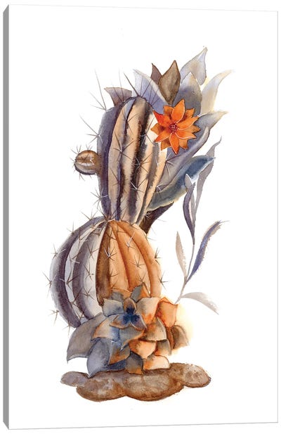 Cactus I Canvas Art Print - Olga Tchefranov
