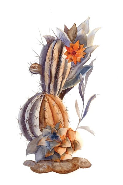 Fine Art Print: Cactus I by Olga Tchefranov