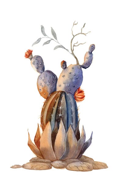 Fine Art Print: Cactus II by Olga Tchefranov