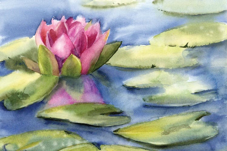 Lotus by Olga Tchefranov wall art