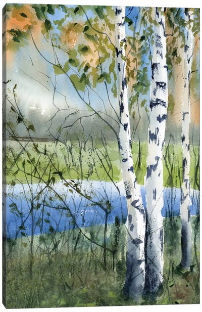 Birch Trees II Canvas Art Print - Pond Art