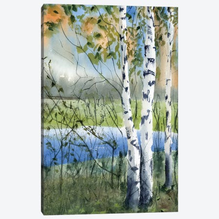 Birch Trees II Canvas Print #OTF8} by Olga Tchefranov Canvas Art Print