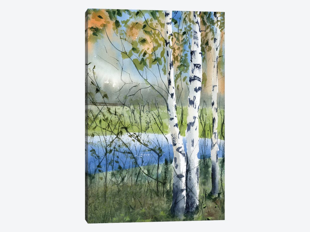 Birch Trees II by Olga Tchefranov 1-piece Canvas Art