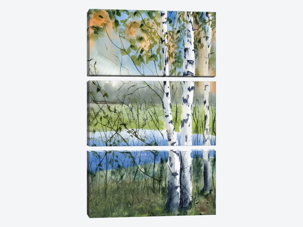 Birch Trees II by Olga Tchefranov 3-piece Canvas Wall Art