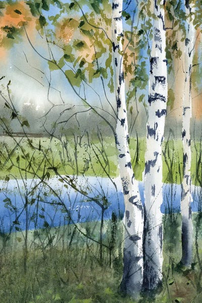 Ponds: Birch Trees II by Olga Tchefranov