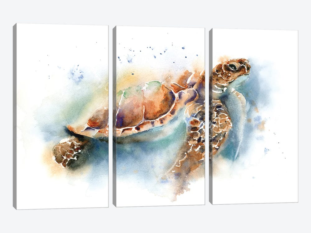 Sea Turtle II by Olga Tchefranov 3-piece Canvas Art Print