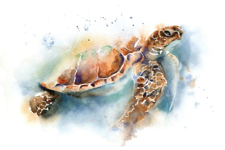 Sea Turtle II