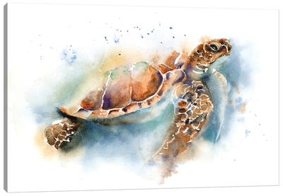 Sea Turtle II Canvas Art Print - Olga Tchefranov