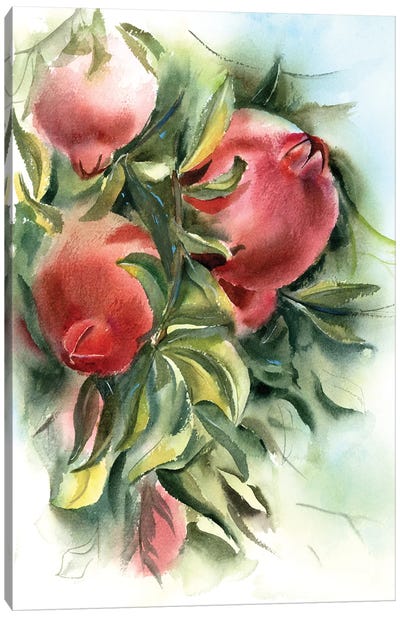Pomegranate Branch Canvas Art Print - Olga Tchefranov