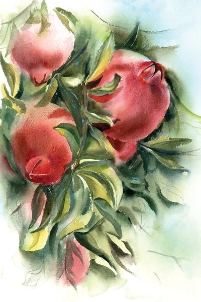 Apples: Pomegranate Branch by Olga Tchefranov