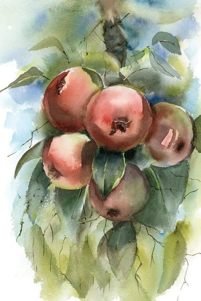 Apples: Apple Branch by Olga Tchefranov