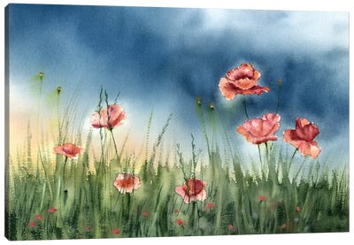 Poppies Landscape Canvas Art Print - Olga Tchefranov