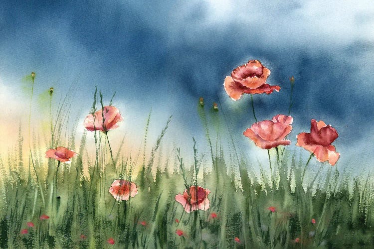 Poppies Landscape