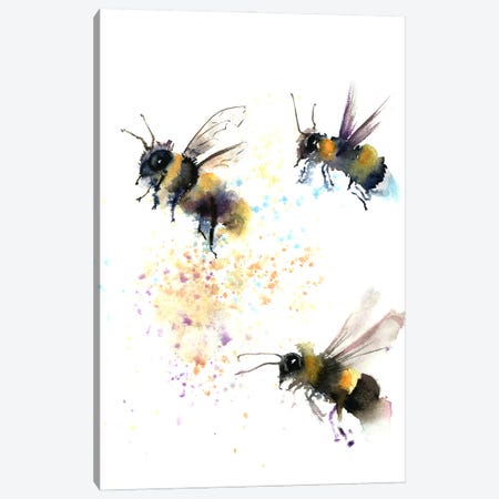 3 Bees Canvas Print #OTF9} by Olga Tchefranov Art Print